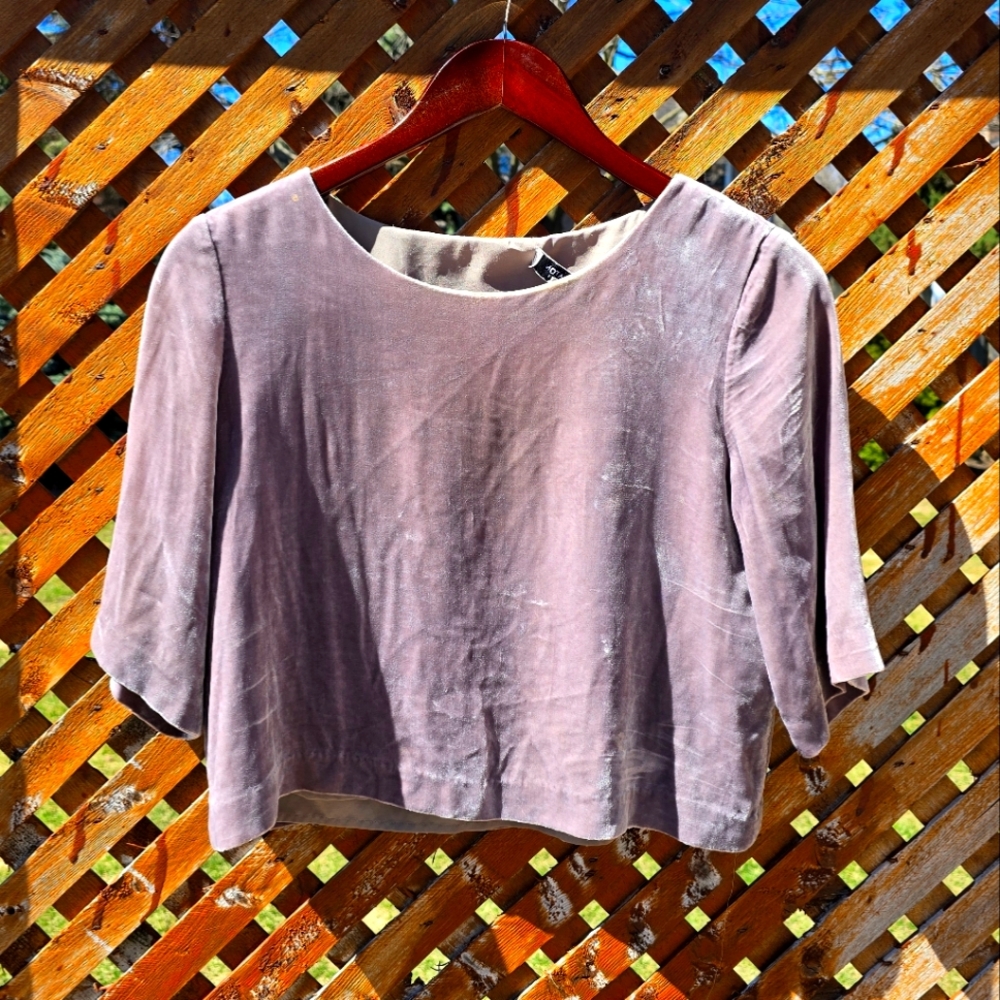 ARITZIA Velvet Crop Top